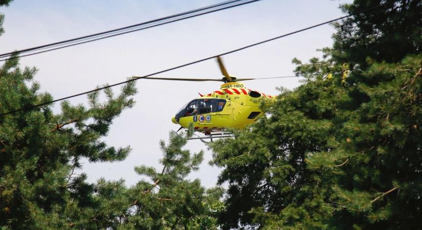 Favágóra dőlt egy fa - mentőhelikoptert is riasztottak a helyszínre
