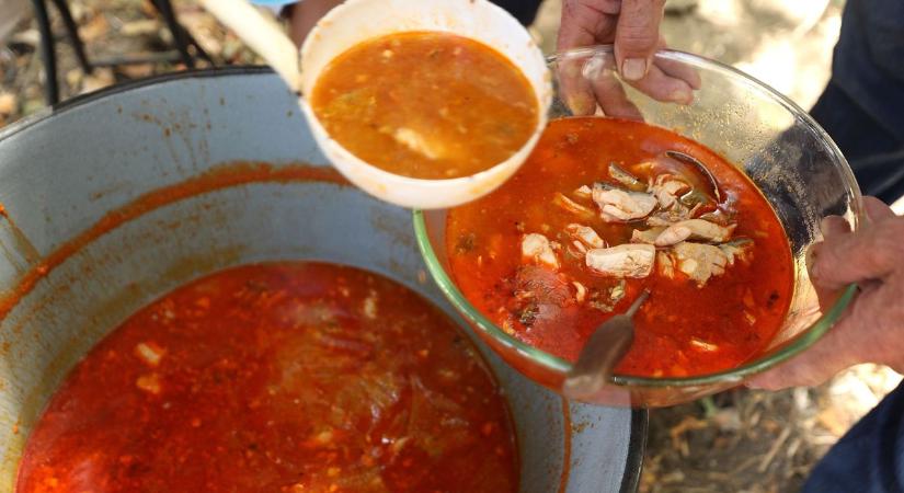 Jó hír: ismét lehet a szabadban bográcsozni és grillezni Fejér vármegyében