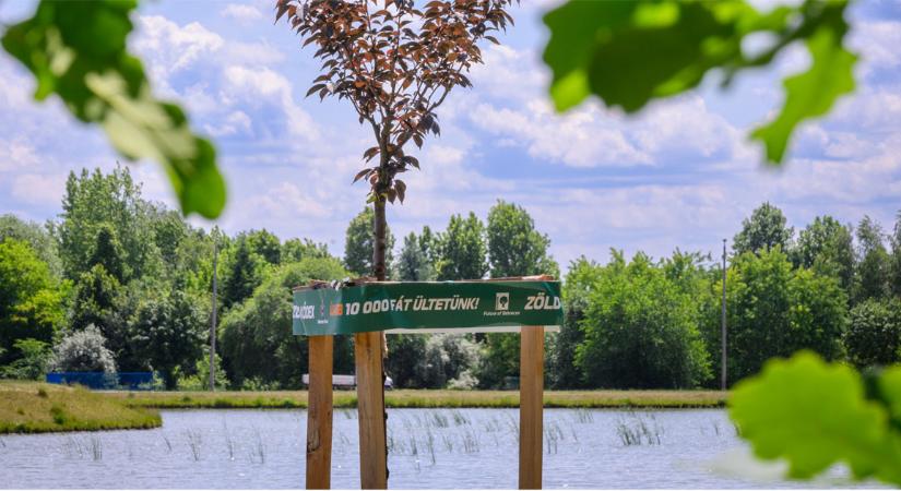 Európa Zöld Fővárosa: Debrecen a legjobb három pályázó között