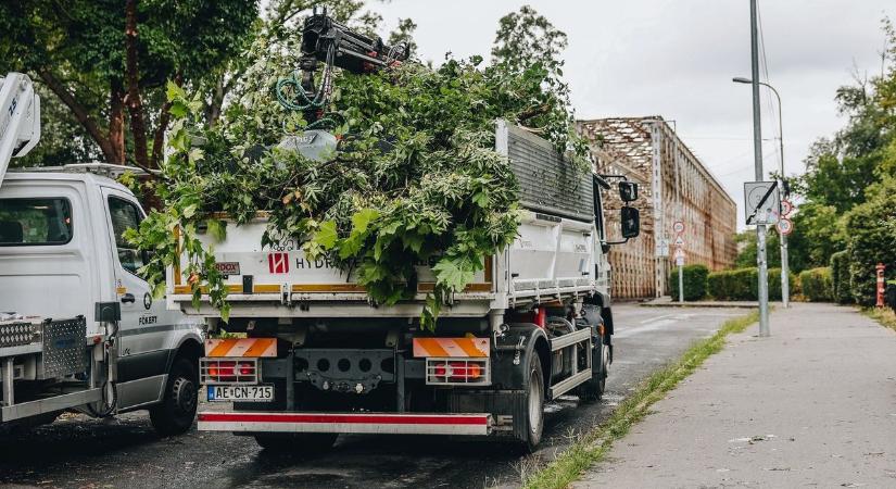 Jelentősek a viharkárok: továbbra sem látogatható az Óbudai-sziget