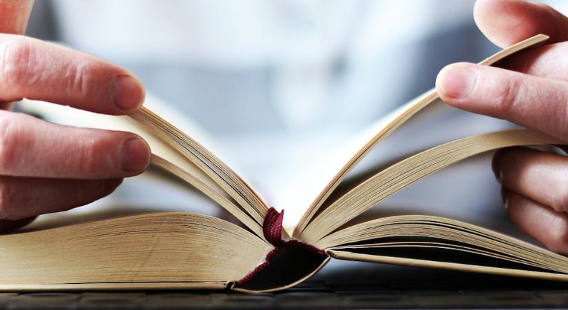 Könyvmegőrzés felsőfokon – miért ne várd meg, míg a könyvmoly lép helyetted?