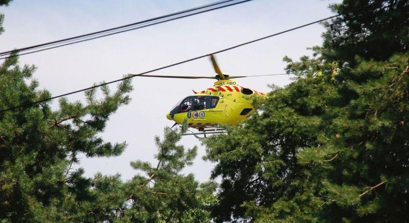 Nagy a baj: Favágóra dőlt a fa, mentőhelikopter érkezett!