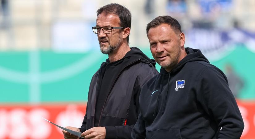 Nagyot rúgott Dárdai Pálba korábbi főnöke