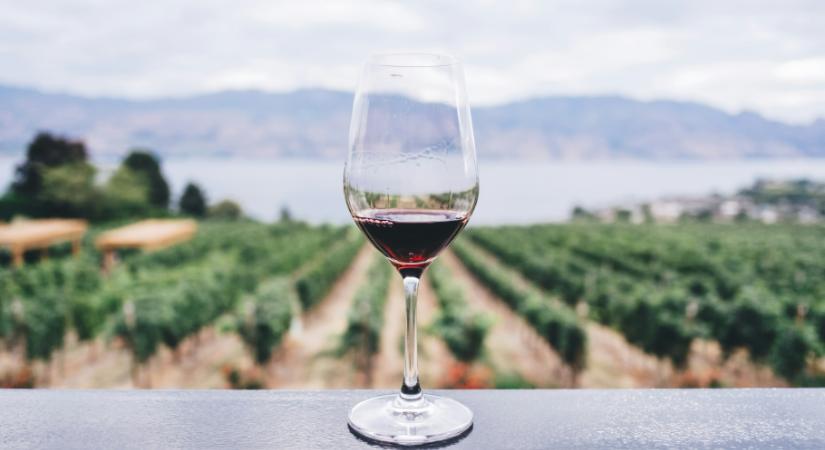 Minden, amit a borról tudni érdemes - egy nemzetközi Master of Wine szerint