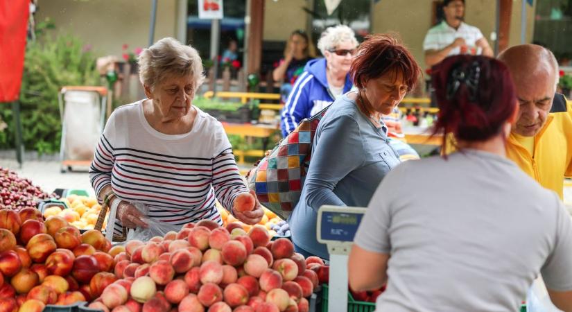 "Nem kell mindent az aszályra fogni" – a tatabányai termelői piacon jártunk fotók