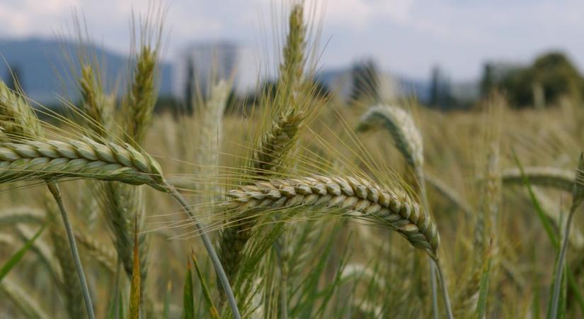 Az agrárminiszter szerint ez a megállapodás komoly veszélyt jelentene