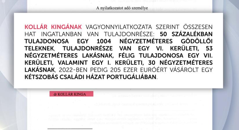 A Tisza Párt EP-képviselői közzétették vagyonnyilatkozatukat  videó