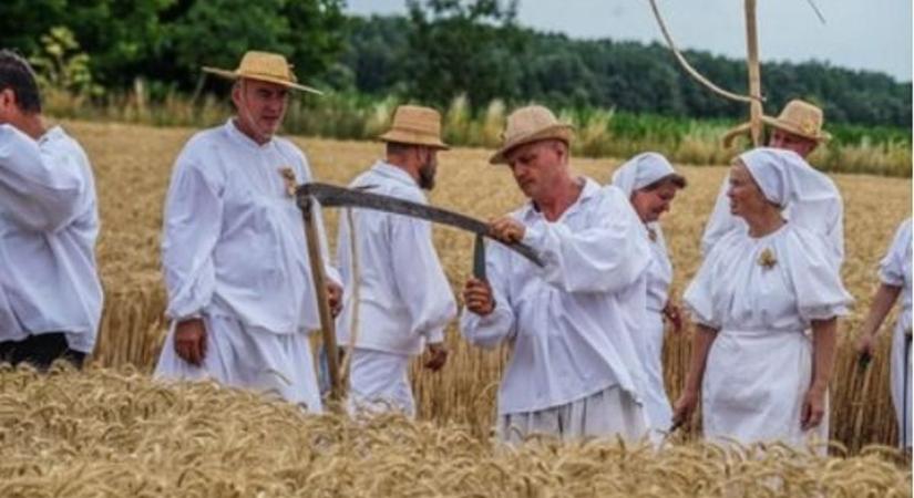 Ismét megrendezik Mohácson a hagyományos Aratónapot - Íme, a részletes program