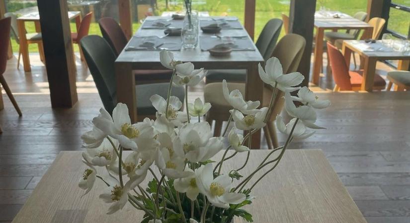 Dining Guide 2025 - ez a vasi étterem befőzte magát az ország elitjébe