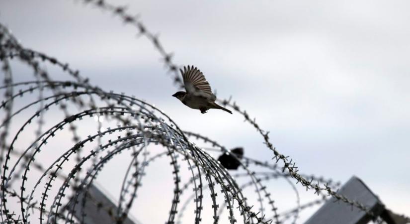 Bakondi György: tovább nőhet az illegális migránsok száma