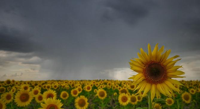 Ma is öntöztek a zivatarok