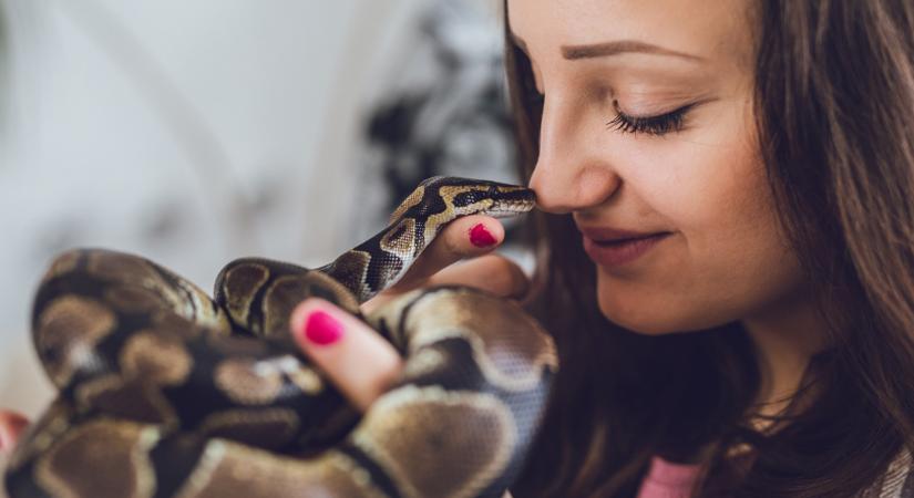 Amilyen ijesztő, olyan életbe vágó üzenettel bír: ezt jelenti, ha kígyóval álmodtál