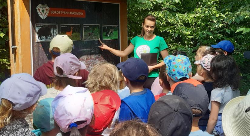 Várja a természetbarát gyerekeket a Nagyerdei Erdészeti Erdei Iskola