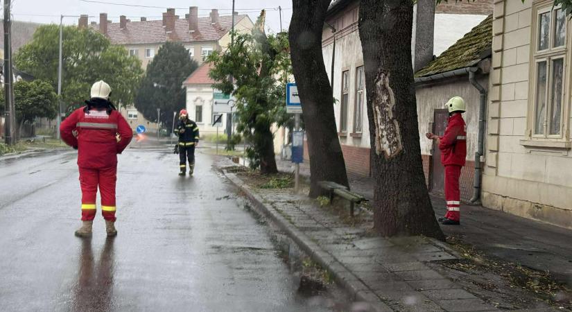 A Vöröskereszt is segített a vásárhelyi viharkárok helyreállításában