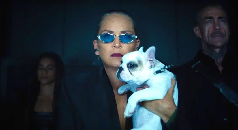 Sharon Stone újra csúcsformában a Senki 2-ben