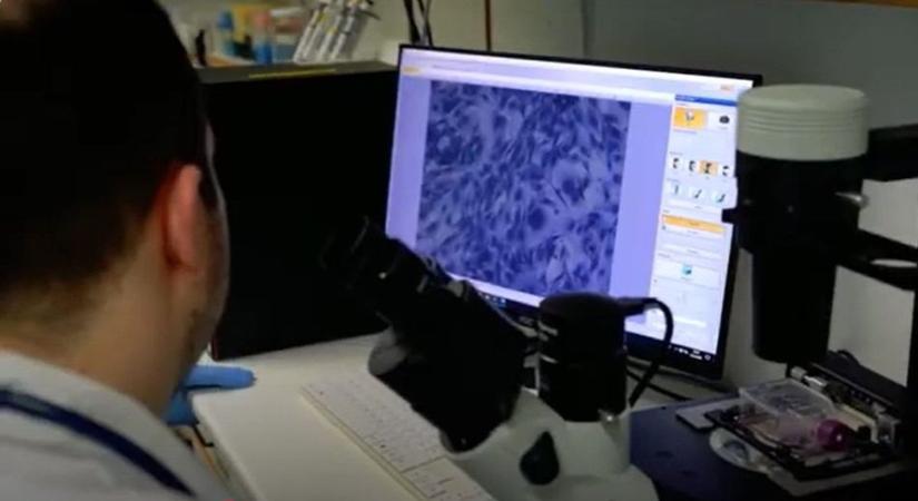 Világraszóló felfedezés a Debreceni Egyetemen! Sok millió emberen segíthetnek ezzel - videóval!