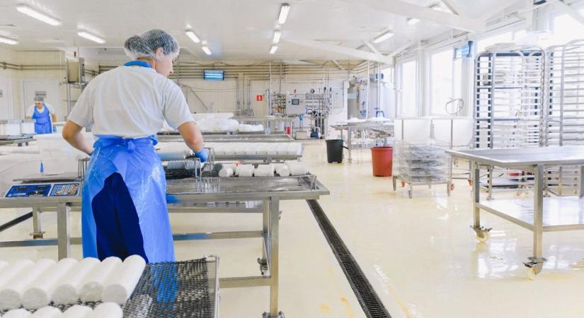 Csaknem 100 milliárd forint érkezik az élelmiszeriparba