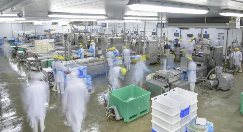 Majdnem 100 milliárd forinttal támogatják a hazai élelmiszeripart