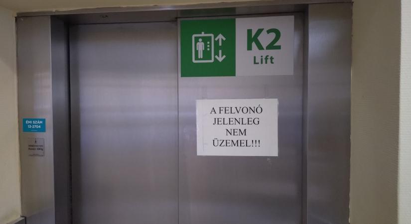 „Mindig a nővéreken csattan az ostor”