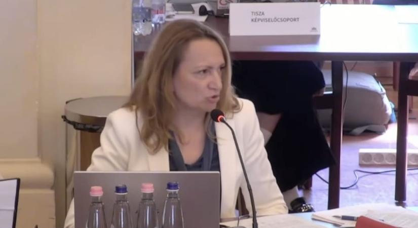 Bejelentették a Tisza Párt új fővárosi frakcióvezetőjét