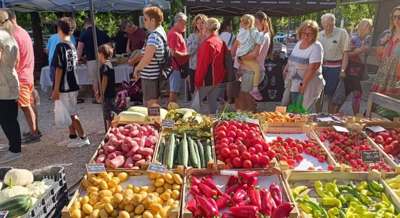 Annuska néni kerti virágaitól a gurmé libapástétomig – minden van a sóstói piacon