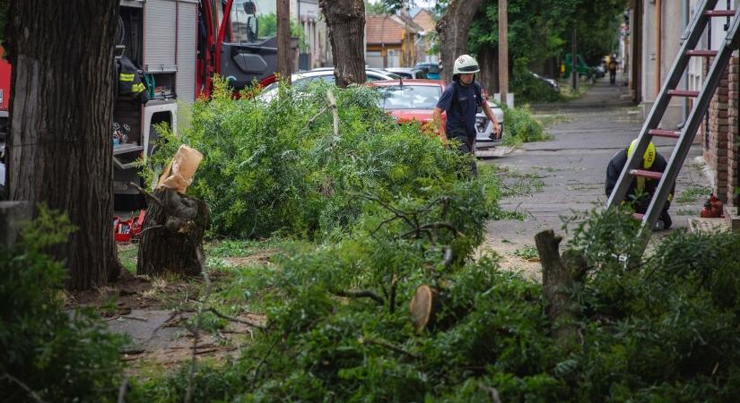 Erre a Hajdú-Biharban dolgozó tűzoltók sem számítottak