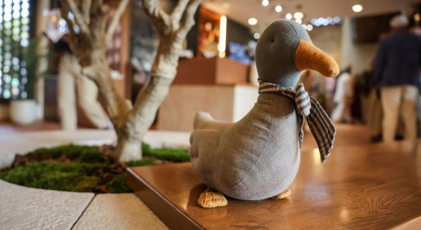 Videón a Malom és Kacsa Hotel, pazar kilátással az Öreg-tóra