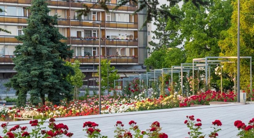Rakétára ültették az ingatlanárakat Veszprémben, brutális számok láttak napvilágot