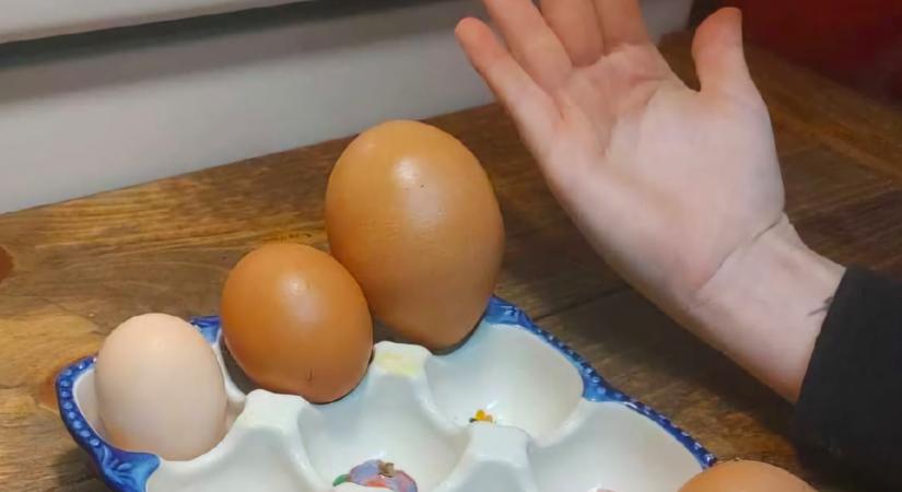 Ha ilyen színű a tojás belseje, azonnal dobd ki