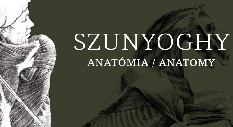 Szunyoghy András: Anatómia