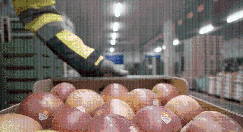 A Lidl a Heim Pál Gyermekkórház Fejlesztéséért Alapítványt támogatja