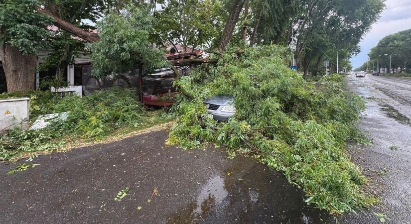 Több mint 100 tonna zöldhulladék gyűlt össze a brutális vihar után a hajdú-bihari városban