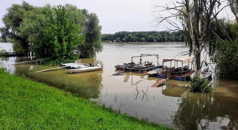 Vasárnap tetőzik a Duna Mohácsnál, majd gyors apadás jöhet