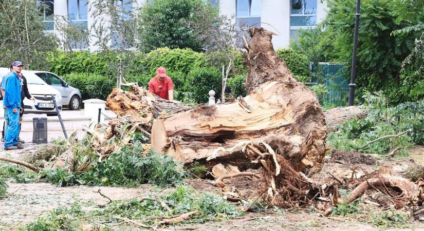 Eszméletlen rekordokat döntött a pusztító vihar Magyarországon  és ez csak a kezdet (VIDEÓ)