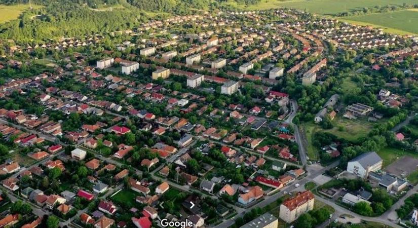 Volán buszból is szafarizhatunk Borsodban: mindenféle állat kószál az úton - fotók
