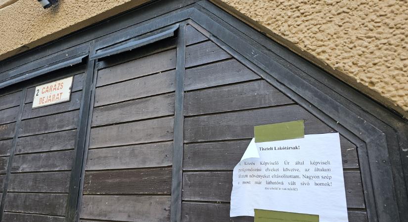 A nap képe Debrecenből: a közös képviselő a növények helyett a homokot választotta