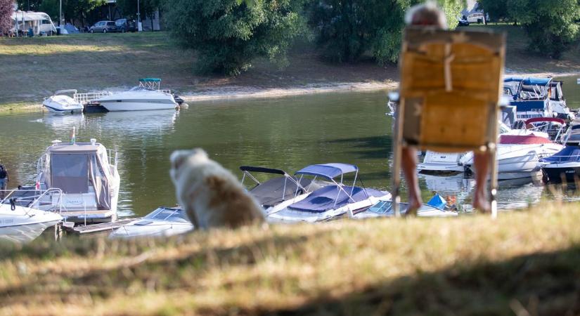 A strandolók és a hajósok újra birtokba vették a Sugovicát – galériával