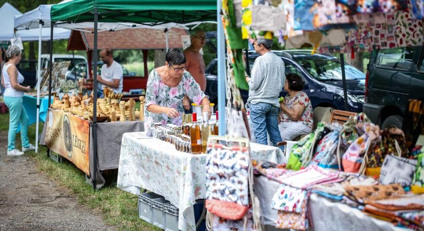 Ismét megtelt a Völgy piac – voltak, akik most jártak itt először (GALÉRIA)