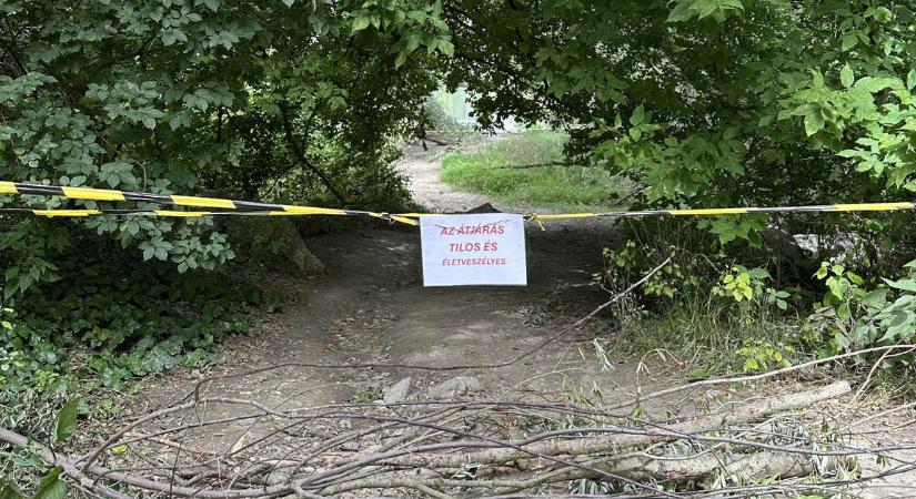 Életveszélyessé vált a gödi ártéri erdő a hétfői vihar miatt