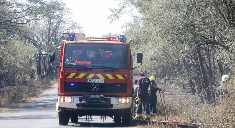 Hatalmas a baj: óriási területen ég a tarló Baranyában