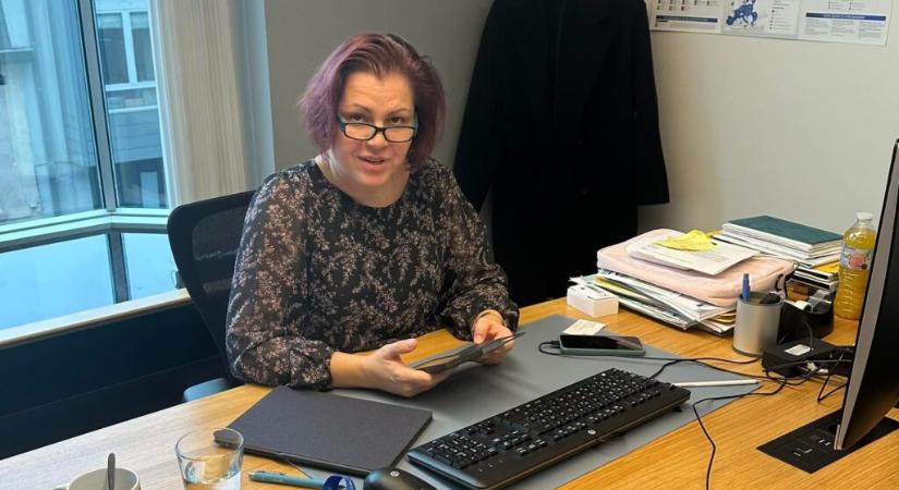 Vicsek Annamária vagyonnyilatkozata is megtekinthető