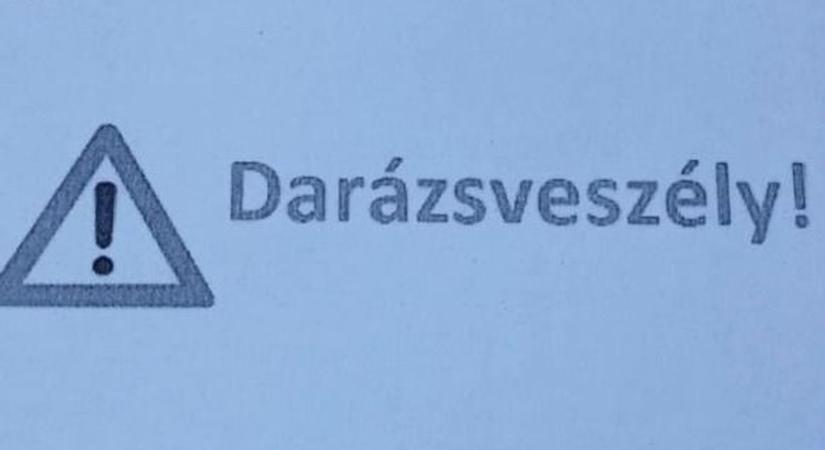 Veszélyes darazsak támadtak a Sopron melletti faluban