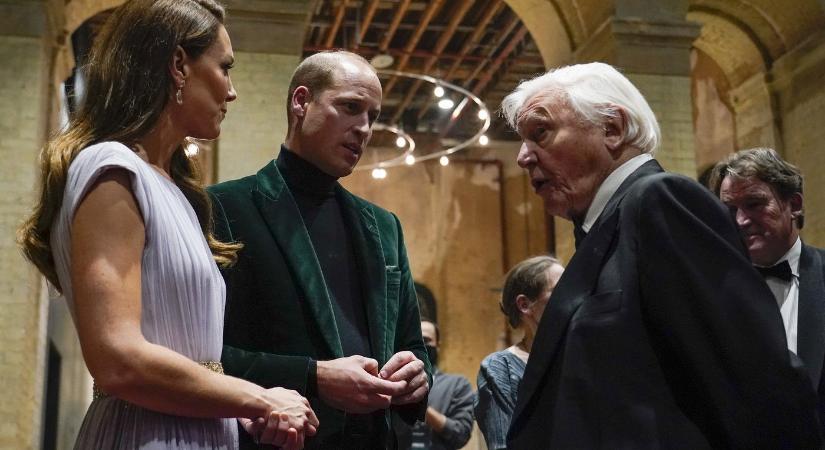Fantasztikus felfedezést tett David Attenborough, a 99 éves tudós elkápráztatta a világot