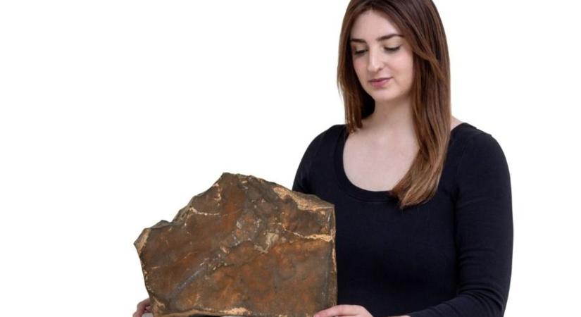 Eladó a legnagyobb Marsról származó meteorit. Ön szerint mennyibe kerül?