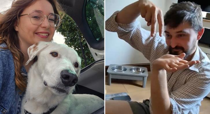 Imádja a TikTok népe a siket kutyát, amelyik képes jelbeszéddel kommunikálni gazdájával