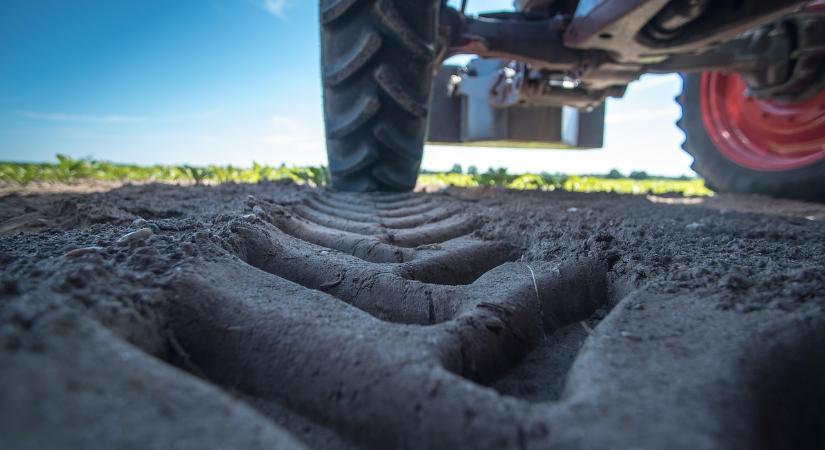 Elkezdte a Kincstár az agrártámogatási kérelmek ellenőrzését