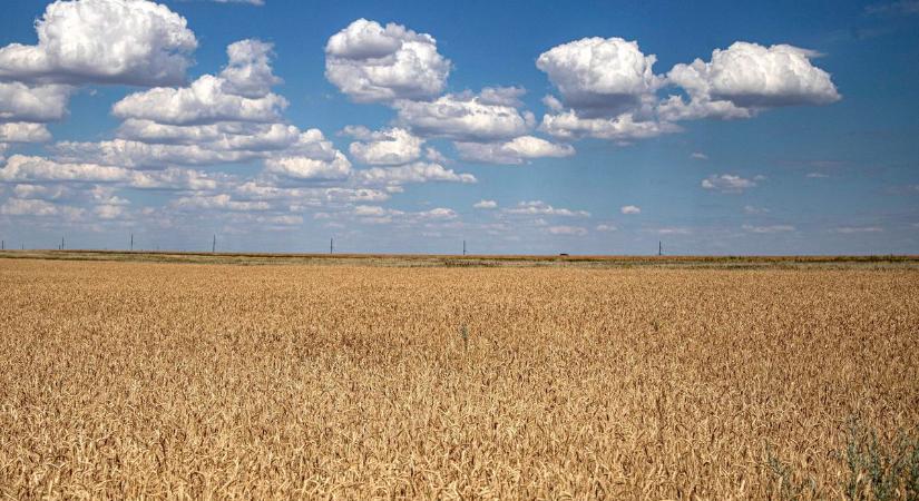 A világ legnagyobb lopása? – így gyarmatosítják Ukrajnát a nyugati agrárcégek
