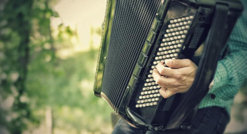 Harmonikakoncert az Energy Hotelben