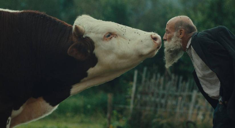 Megnyerte a Karlovy Vary-i Filmfesztivál fődíját, órákkal később tóba fulladt