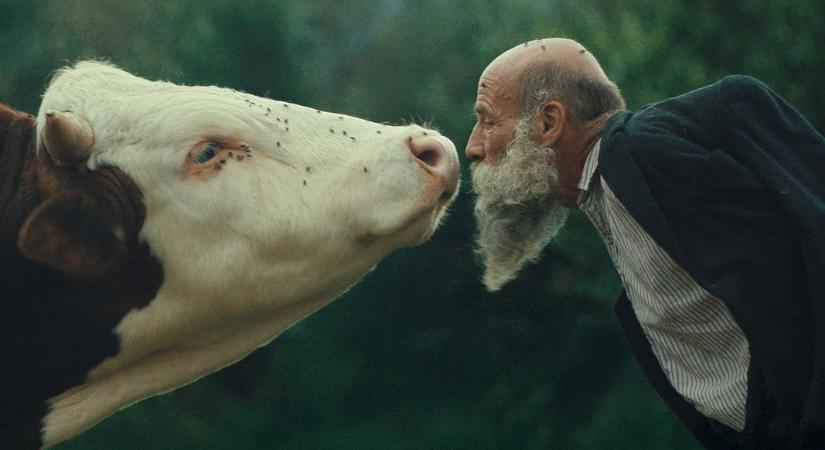 Jobb a vadonban megőrülni – állítja a Karlovy Varyban díjnyertes film